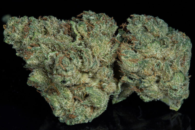 ogkushstrainbestweedevertheherbalcuredenver4 The Herbal Cure