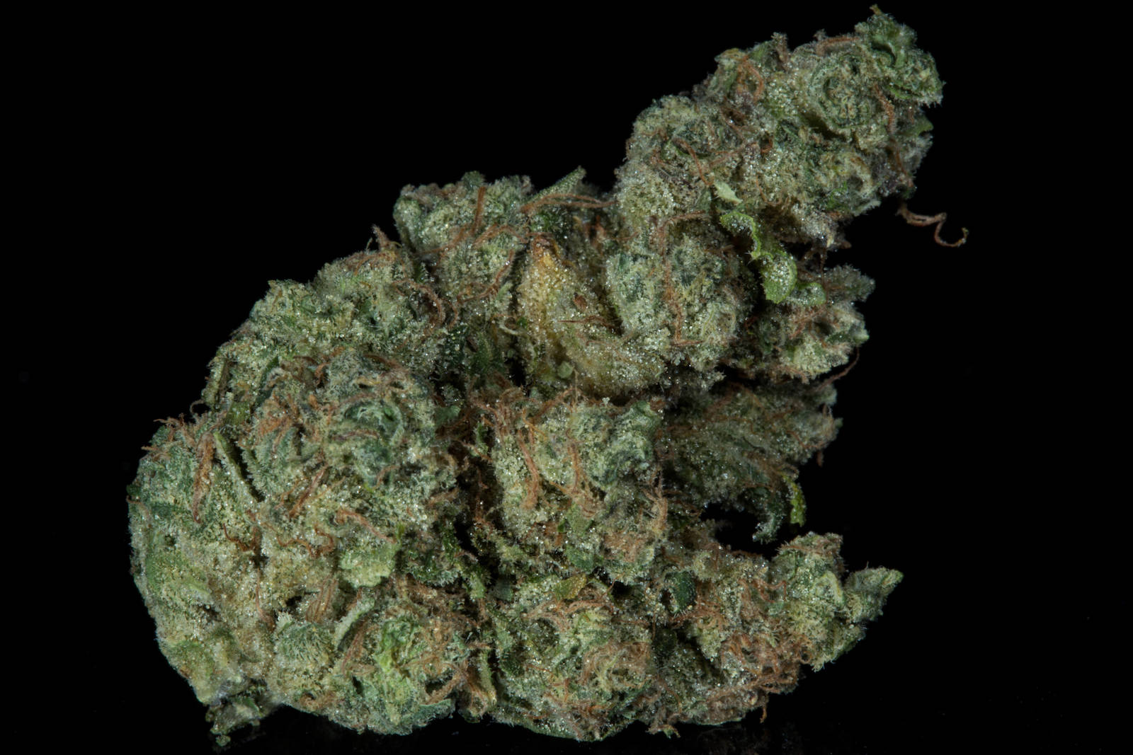 sour-diesel-cannabis-strain-best-weed-ever-the-herbal-cure-d