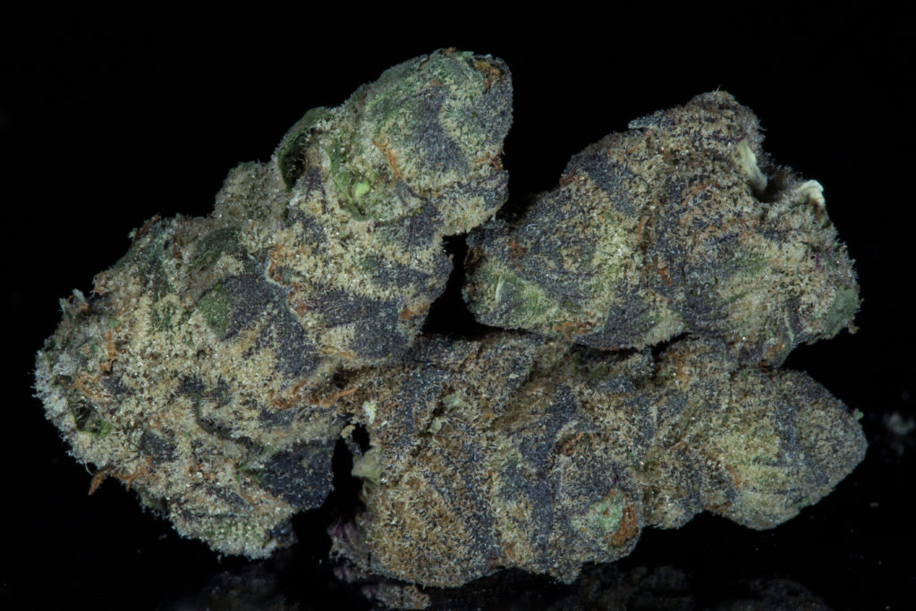 MysticalCookiesstrainbestweeddenverherbalcure The Herbal Cure