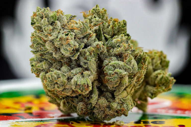 bullykushseedjunkytrianglekushherbalcuredenverbestweedever The Herbal Cure Denver