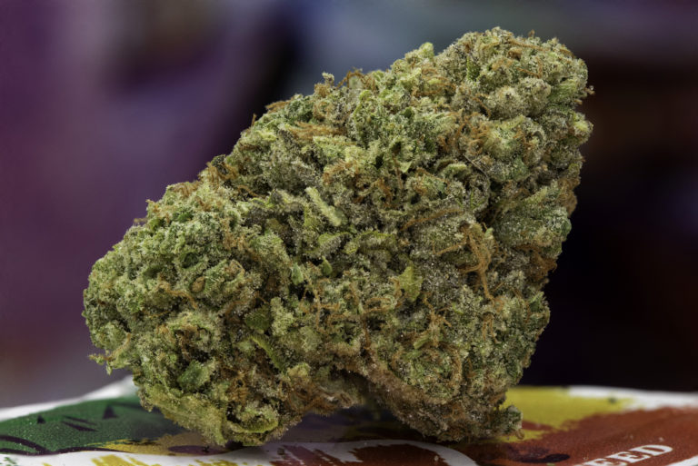 Rainbow Belt The Herbal Cure Denver's Premier Cannabis Dispensary