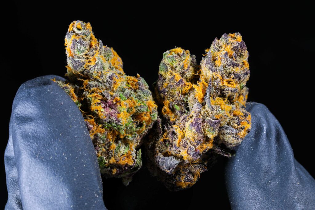 Best Colorado Cannabis