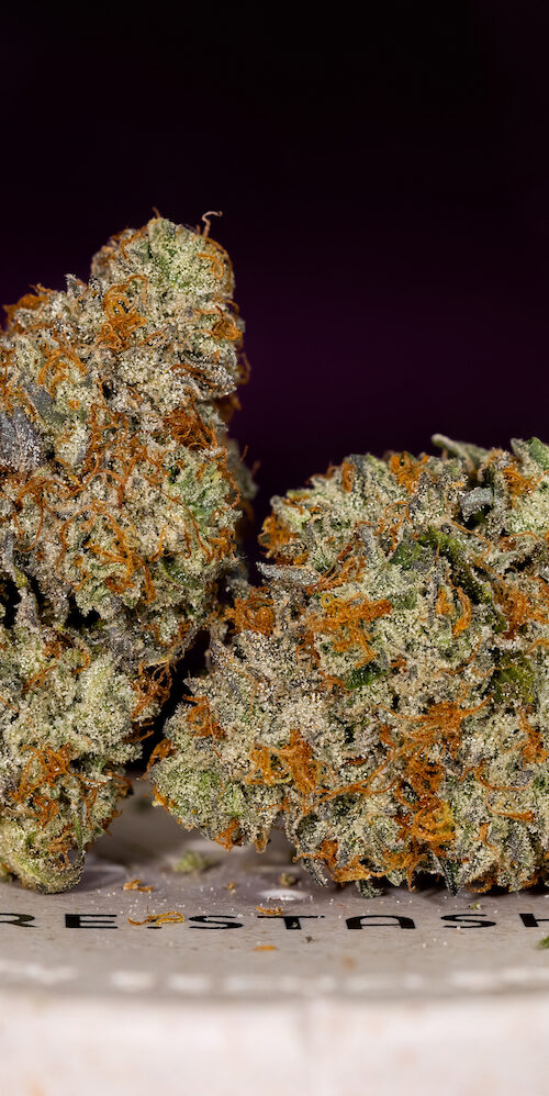 Best Colorado Cannabis
