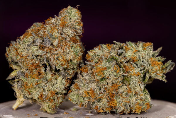 Best Colorado Cannabis